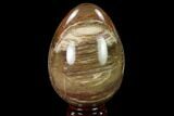 Colorful, Polished Petrified Wood Egg - Triassic #133911-1